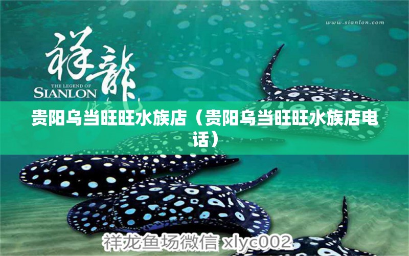 贵阳乌当旺旺水族店（贵阳乌当旺旺水族店电话）