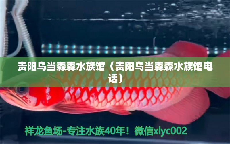 贵阳乌当森森水族馆（贵阳乌当森森水族馆电话） 全国水族馆企业名录