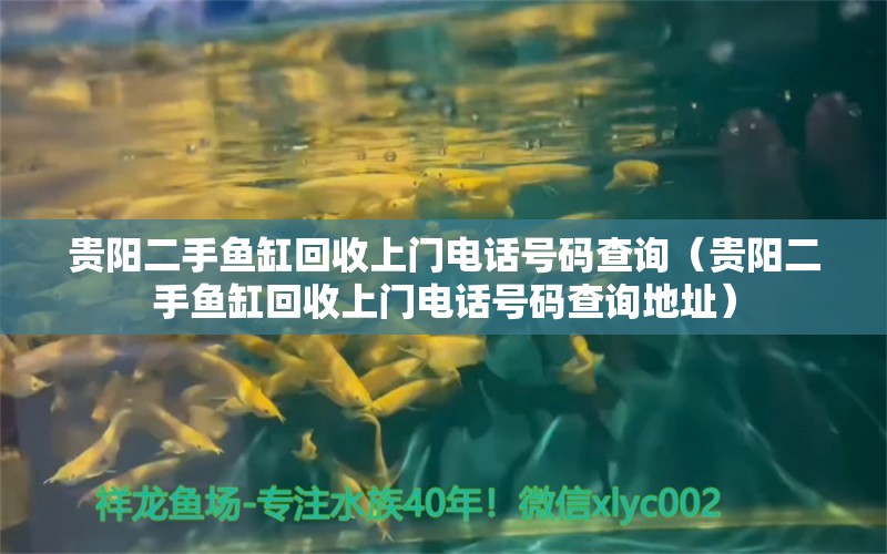 贵阳二手鱼缸回收上门电话号码查询（贵阳二手鱼缸回收上门电话号码查询地址）