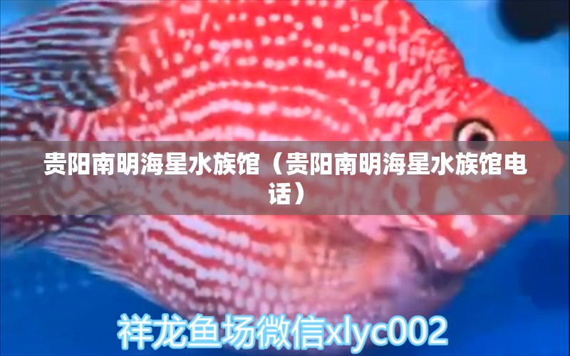 贵阳南明海星水族馆（贵阳南明海星水族馆电话）