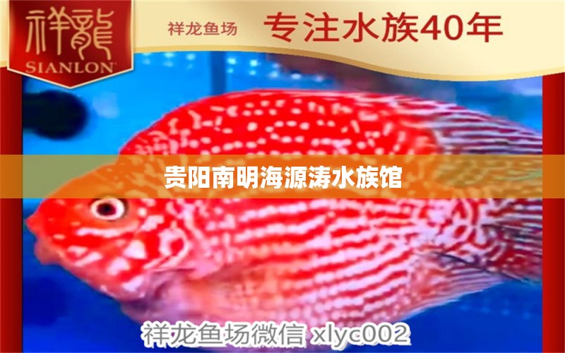 贵阳南明海源涛水族馆