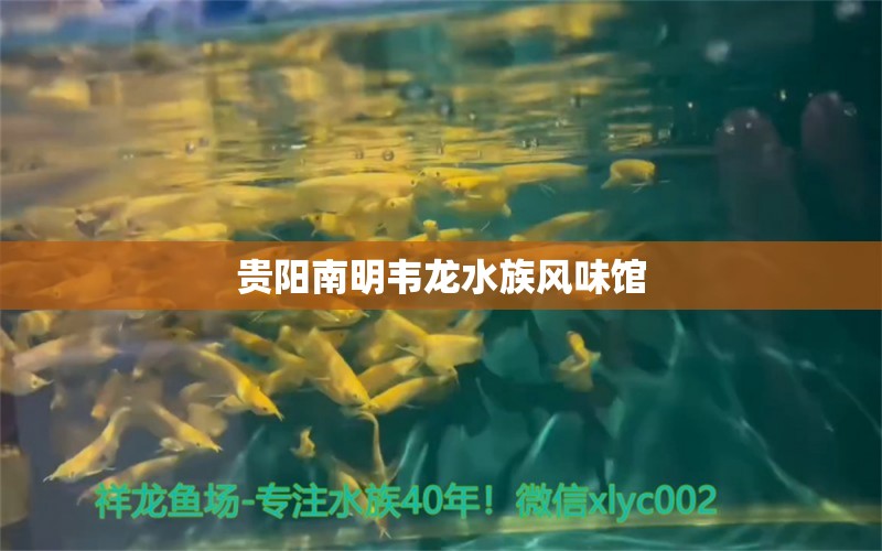 贵阳南明韦龙水族风味馆