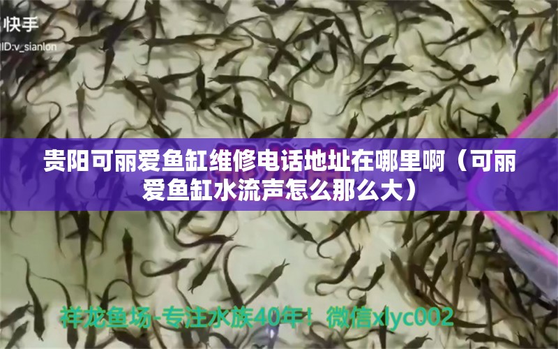 贵阳可丽爱鱼缸维修电话地址在哪里啊（可丽爱鱼缸水流声怎么那么大）