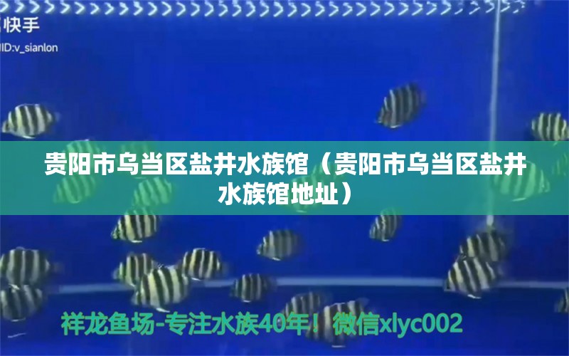 贵阳市乌当区盐井水族馆（贵阳市乌当区盐井水族馆地址）