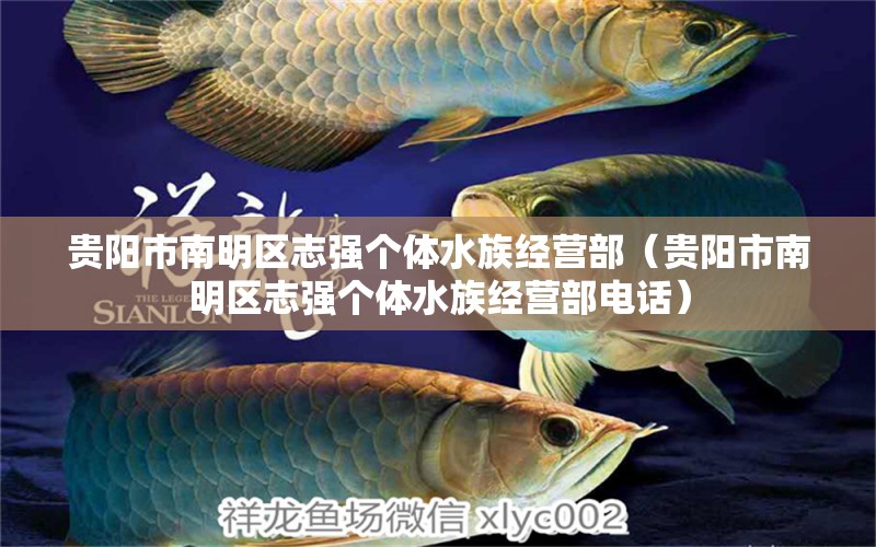 贵阳市南明区志强个体水族经营部（贵阳市南明区志强个体水族经营部电话）