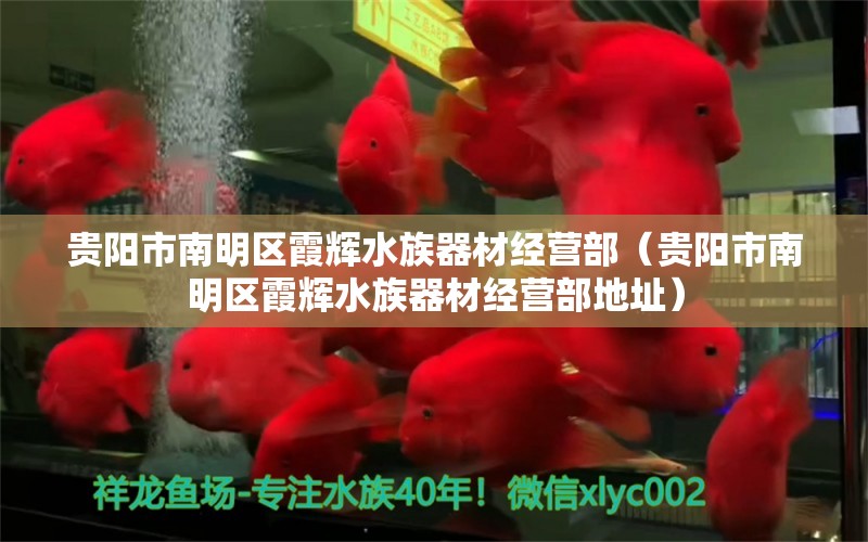 贵阳市南明区霞辉水族器材经营部（贵阳市南明区霞辉水族器材经营部地址）