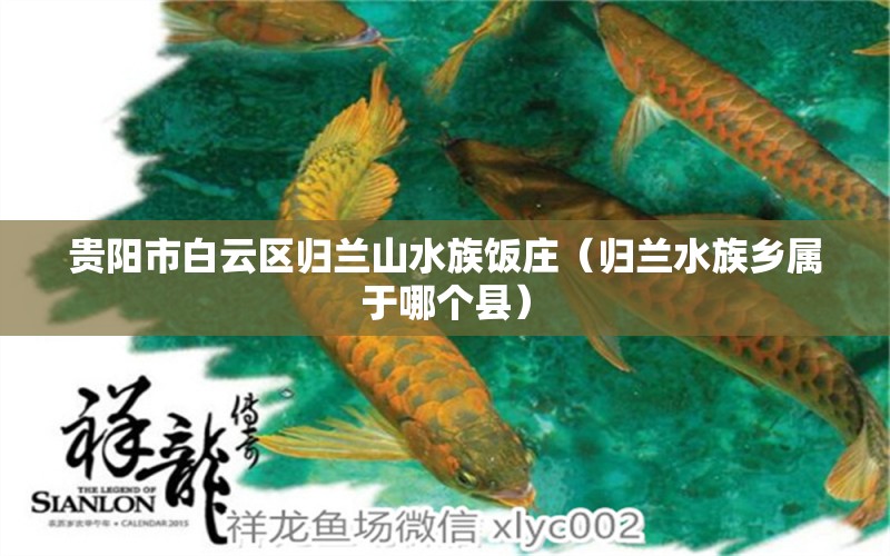 贵阳市白云区归兰山水族饭庄（归兰水族乡属于哪个县） 全国水族馆企业名录