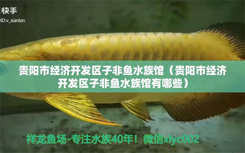 贵阳市经济开发区子非鱼水族馆（贵阳市经济开发区子非鱼水族馆有哪些）