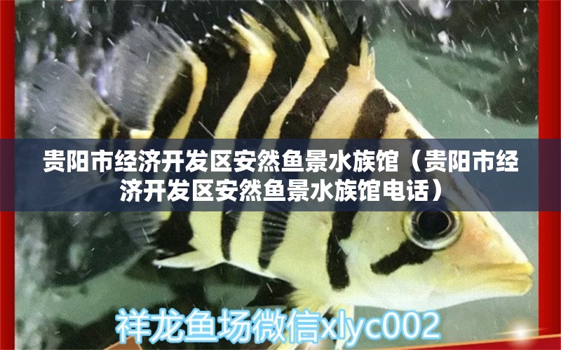 贵阳市经济开发区安然鱼景水族馆（贵阳市经济开发区安然鱼景水族馆电话） 全国水族馆企业名录