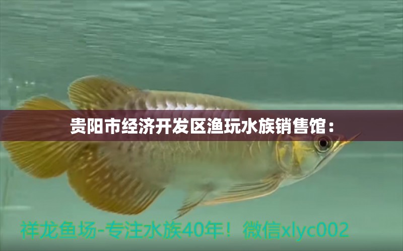 贵阳市经济开发区渔玩水族销售馆： 全国水族馆企业名录