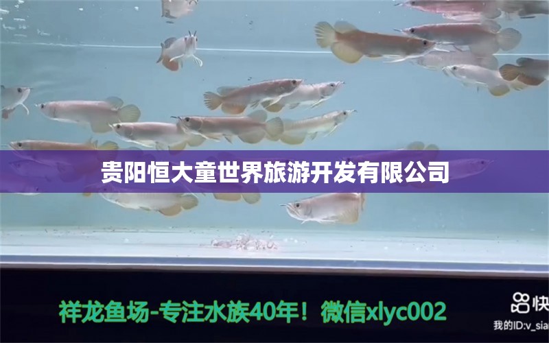 贵阳恒大童世界旅游开发有限公司 全国水族馆企业名录