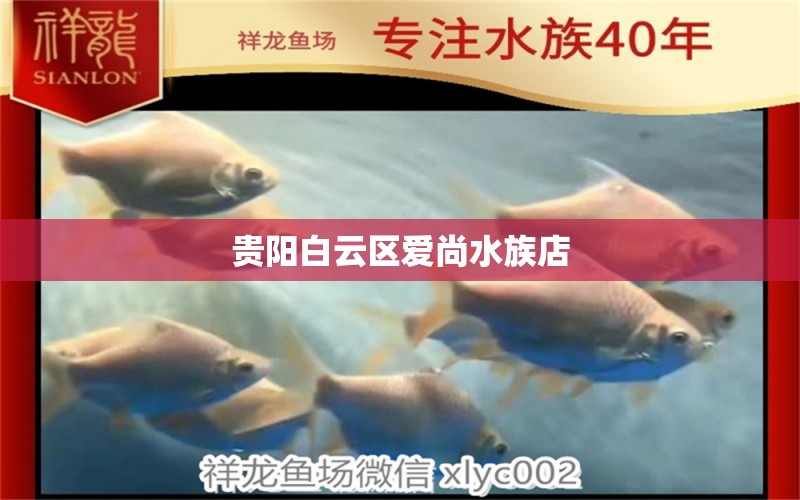 贵阳白云区爱尚水族店 全国水族馆企业名录