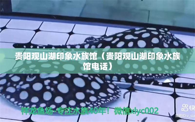 贵阳观山湖印象水族馆（贵阳观山湖印象水族馆电话） 全国水族馆企业名录