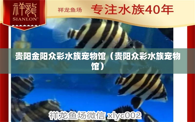 贵阳金阳众彩水族宠物馆（贵阳众彩水族宠物馆） 全国观赏鱼市场 第2张