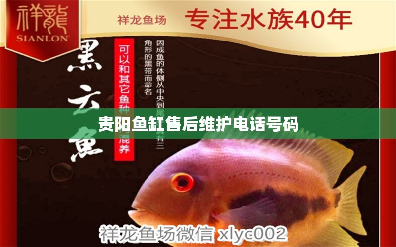 贵阳鱼缸售后维护电话号码 其他品牌鱼缸