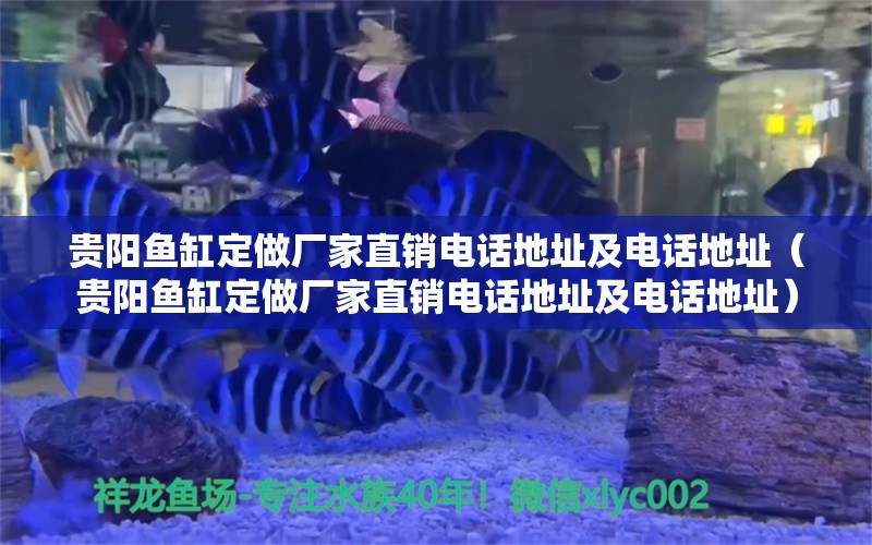 贵阳鱼缸定做厂家直销电话地址及电话地址（贵阳鱼缸定做厂家直销电话地址及电话地址） 量子养鱼技术