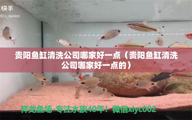 贵阳鱼缸清洗公司哪家好一点（贵阳鱼缸清洗公司哪家好一点的）