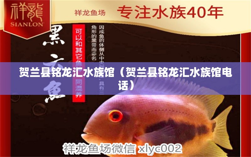 贺兰县铭龙汇水族馆（贺兰县铭龙汇水族馆电话）