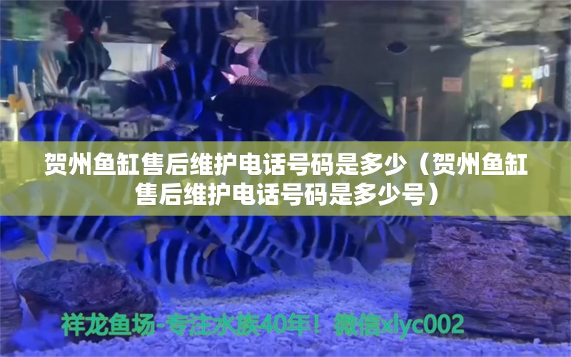 贺州鱼缸售后维护电话号码是多少（贺州鱼缸售后维护电话号码是多少号）