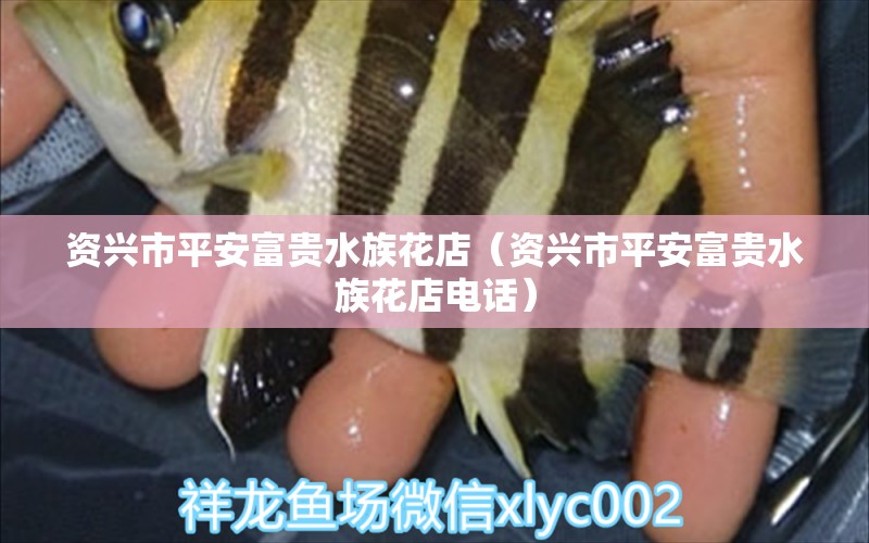 资兴市平安富贵水族花店（资兴市平安富贵水族花店电话） 全国水族馆企业名录