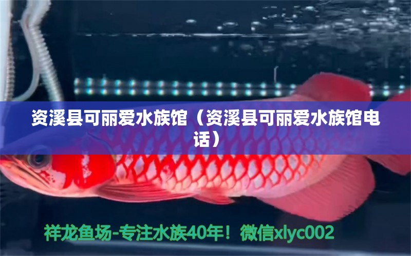 资溪县可丽爱水族馆（资溪县可丽爱水族馆电话） 全国水族馆企业名录