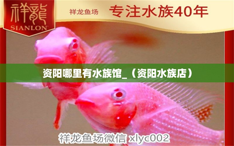 资阳哪里有水族馆_（资阳水族店） 未命名 第1张