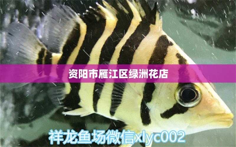 资阳市雁江区绿洲花店 全国水族馆企业名录 第4张