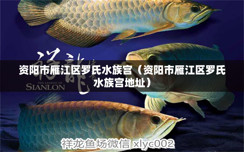 资阳市雁江区罗氏水族宫（资阳市雁江区罗氏水族宫地址）