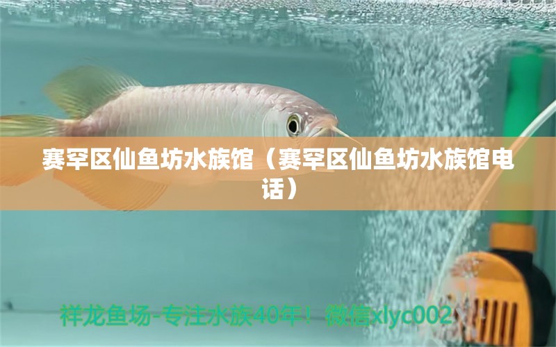 赛罕区仙鱼坊水族馆（赛罕区仙鱼坊水族馆电话）