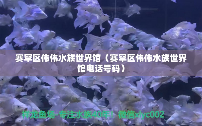 赛罕区伟伟水族世界馆（赛罕区伟伟水族世界馆电话号码）