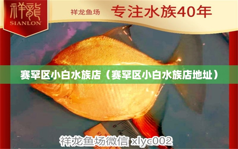 赛罕区小白水族店（赛罕区小白水族店地址）