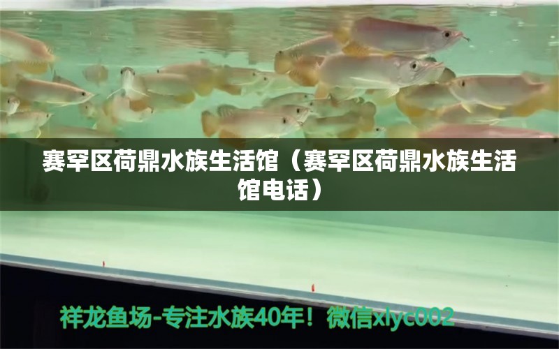 赛罕区荷鼎水族生活馆（赛罕区荷鼎水族生活馆电话）