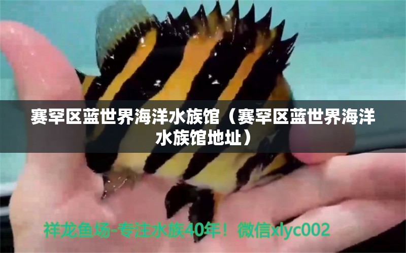 赛罕区蓝世界海洋水族馆（赛罕区蓝世界海洋水族馆地址） 全国水族馆企业名录