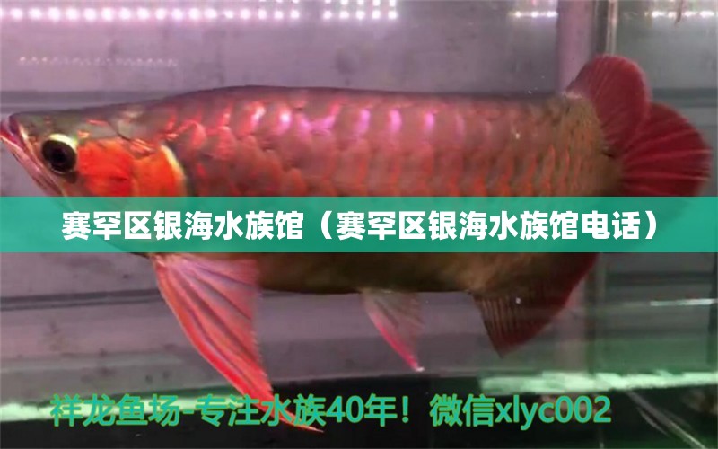 赛罕区银海水族馆（赛罕区银海水族馆电话）