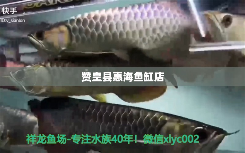 赞皇县惠海鱼缸店 全国水族馆企业名录