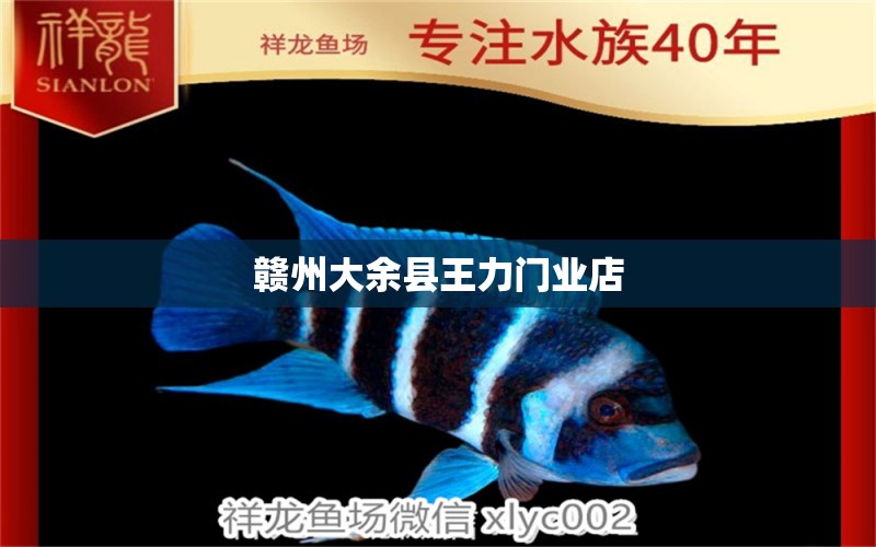 赣州大余县王力门业店 全国水族馆企业名录