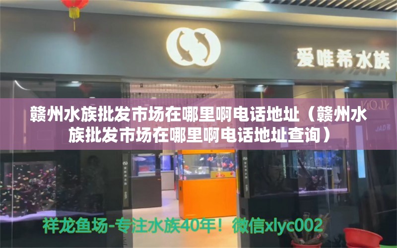 赣州水族批发市场在哪里啊电话地址（赣州水族批发市场在哪里啊电话地址查询）