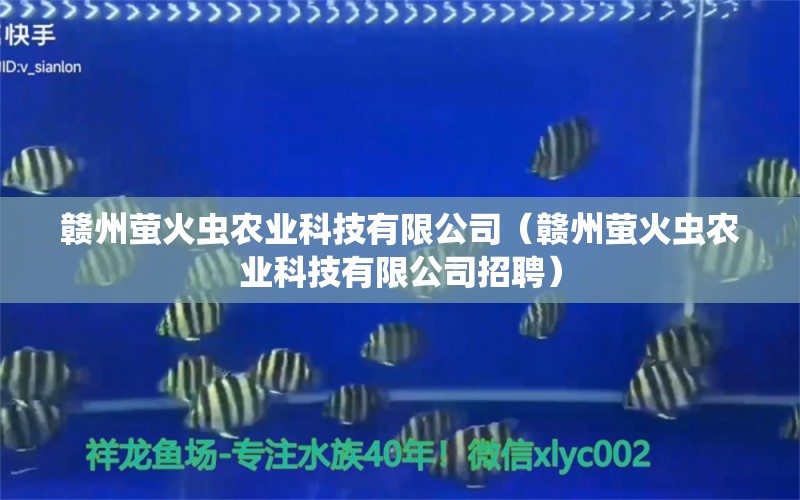 赣州萤火虫农业科技有限公司（赣州萤火虫农业科技有限公司招聘）