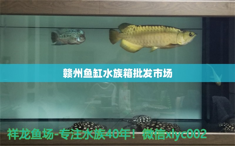 赣州鱼缸水族箱批发市场 鱼缸/水族箱 第1张