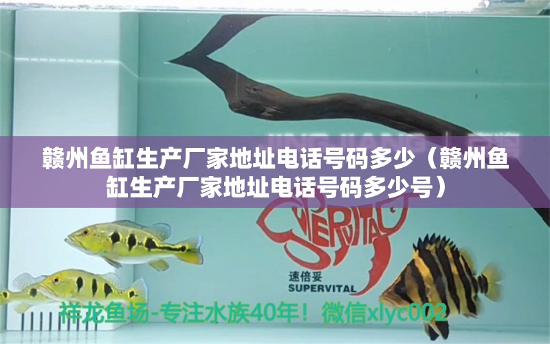 赣州鱼缸生产厂家地址电话号码多少（赣州鱼缸生产厂家地址电话号码多少号） 量子养鱼技术