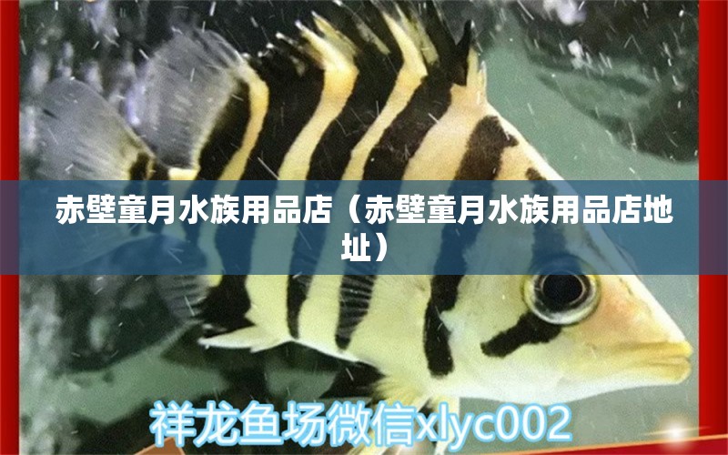 赤壁童月水族用品店（赤壁童月水族用品店地址）