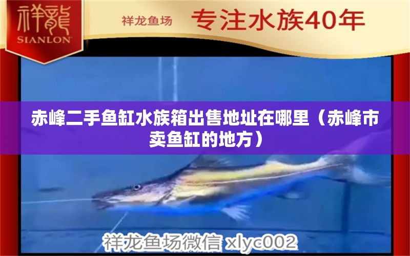 赤峰二手鱼缸水族箱出售地址在哪里（赤峰市卖鱼缸的地方） 鱼缸/水族箱