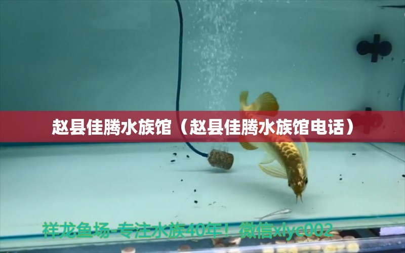 赵县佳腾水族馆（赵县佳腾水族馆电话） 全国水族馆企业名录