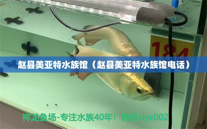 赵县美亚特水族馆（赵县美亚特水族馆电话） 全国水族馆企业名录