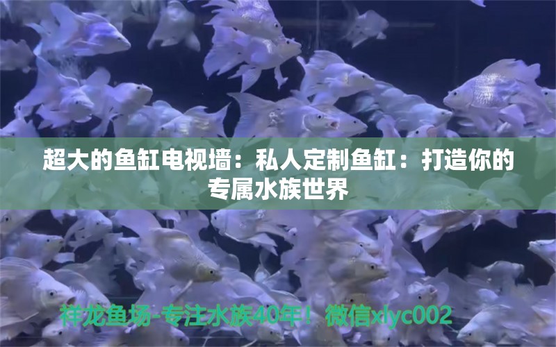 超大的鱼缸电视墙：私人定制鱼缸：打造你的专属水族世界