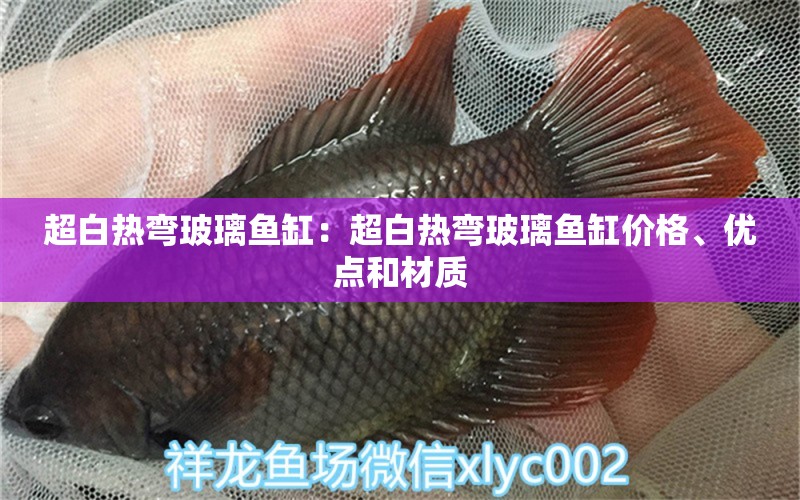 超白热弯玻璃鱼缸：超白热弯玻璃鱼缸价格、优点和材质 鱼缸百科 第2张