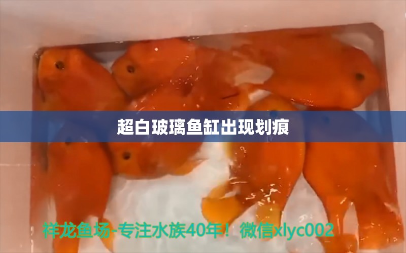 超白玻璃鱼缸出现划痕