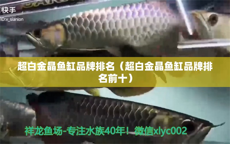 超白金晶鱼缸品牌排名（超白金晶鱼缸品牌排名前十） 量子养鱼技术