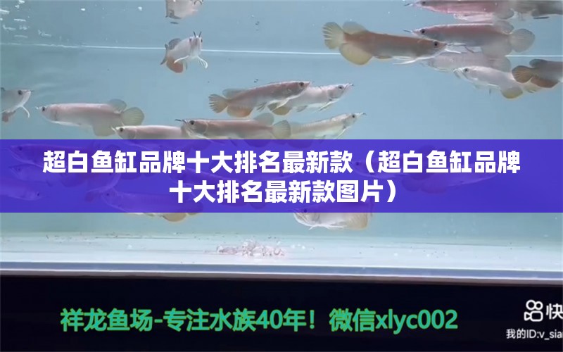 超白鱼缸品牌十大排名最新款（超白鱼缸品牌十大排名最新款图片）