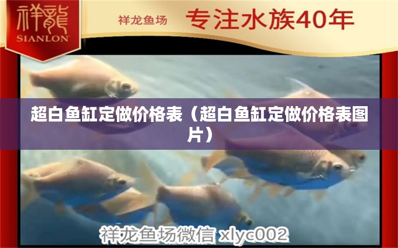 超白鱼缸定做价格表（超白鱼缸定做价格表图片） 2024第28届中国国际宠物水族展览会CIPS（长城宠物展2024 CIPS）